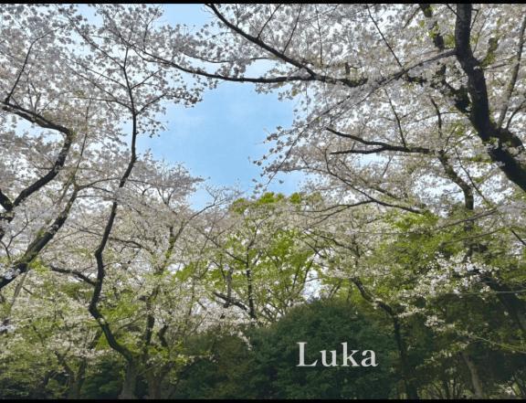 萩｜写メ日記｜ルカ｜銀座・新橋・汐留 一般デリヘル 贅沢なひと時