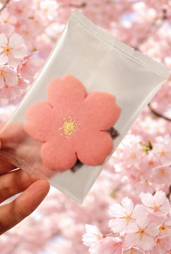 満開だって🌸｜写メ日記｜スイ｜銀座・新橋・汐留 一般デリヘル 贅沢なひと時