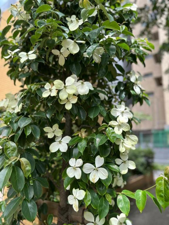 【再】要TEL確認とは何ぞや？｜写メ日記｜まなみ｜銀座・新橋・汐留 一般デリヘル 贅沢なひと時