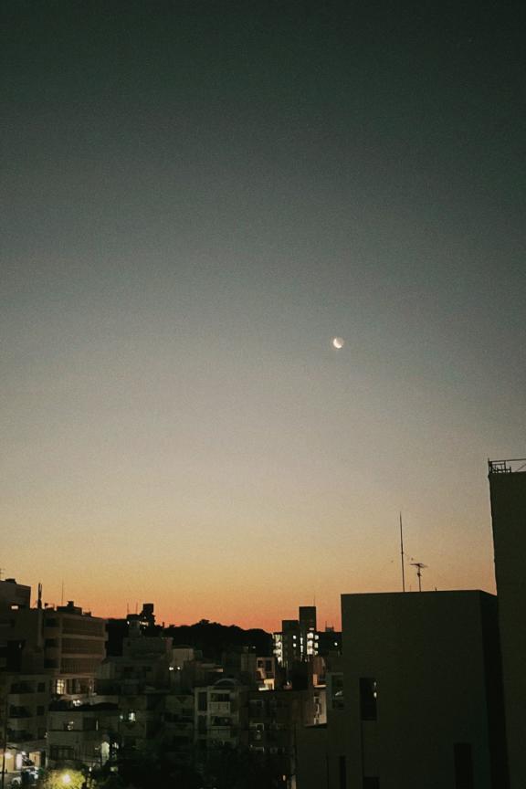 月ってどんな味？｜写メ日記｜アオ｜銀座・新橋・汐留 一般デリヘル 贅沢なひと時