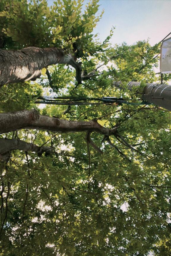恐怖の中の快感｜写メ日記｜アオ｜銀座・新橋・汐留 一般デリヘル 贅沢なひと時
