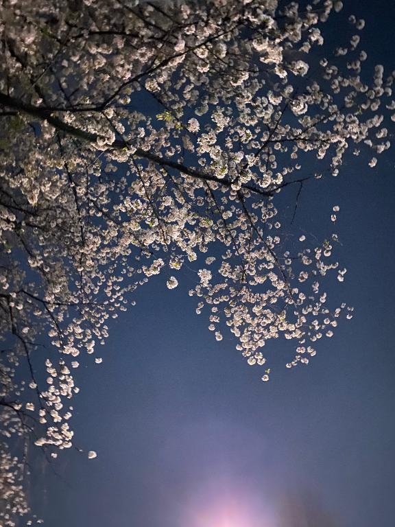 自己紹介！｜写メ日記｜そら｜銀座・新橋・汐留 一般デリヘル 贅沢なひと時