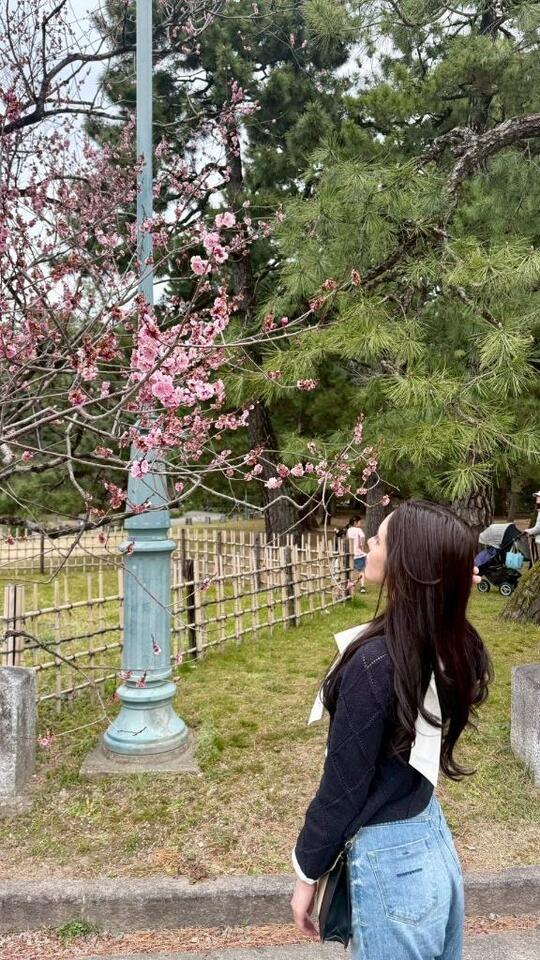 初めての○見｜写メ日記｜芹香/せりか｜銀座・新橋・汐留 一般デリヘル 贅沢なひと時