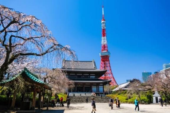 今夜のおかずは…｜写メ日記｜杏 / あん｜銀座・新橋・汐留 一般デリヘル 贅沢なひと時