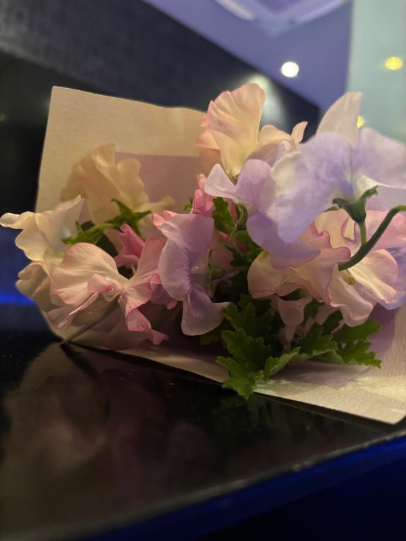 博識なのに性行はないの?|写メ日記|雪/ゆき|銀座・新橋・汐留 一般デリヘル 贅沢なひと時