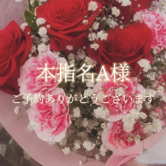 本指名A様♡｜写メ日記｜美奈/みな｜銀座・新橋・汐留 一般デリヘル 贅沢なひと時