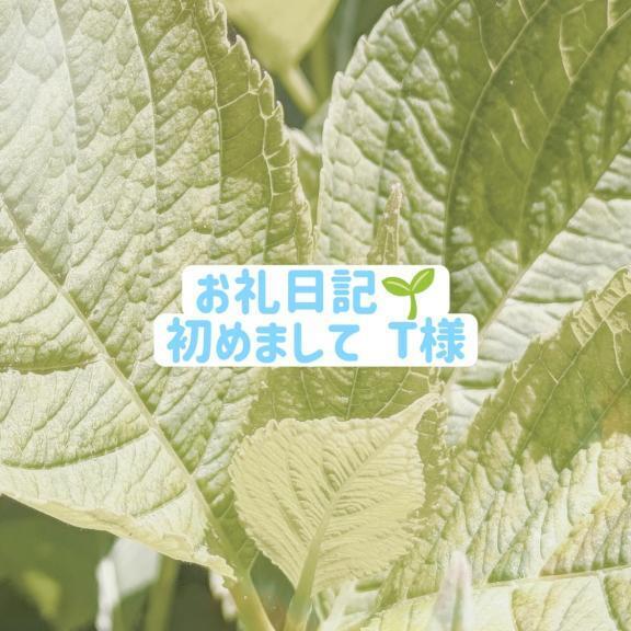 お礼💌舐め全般を強化｜写メ日記｜美里/みさと｜銀座・新橋・汐留 一般デリヘル 贅沢なひと時