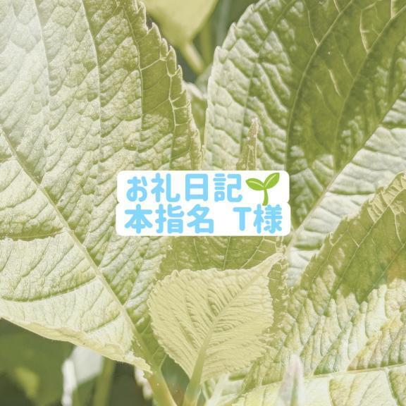 お礼💌場所が変わっても｜写メ日記｜美里/みさと｜銀座・新橋・汐留 一般デリヘル 贅沢なひと時