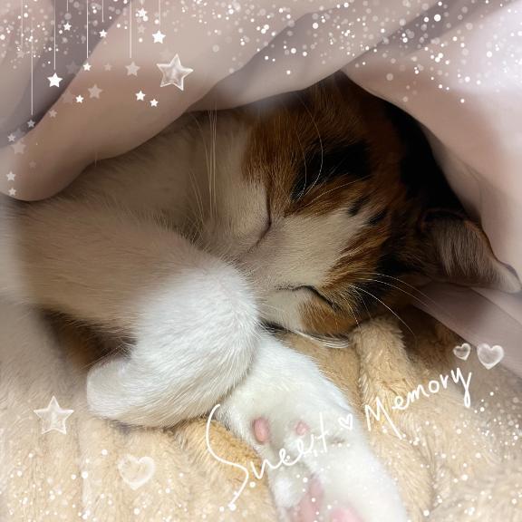 自宅を出るまでのひととき