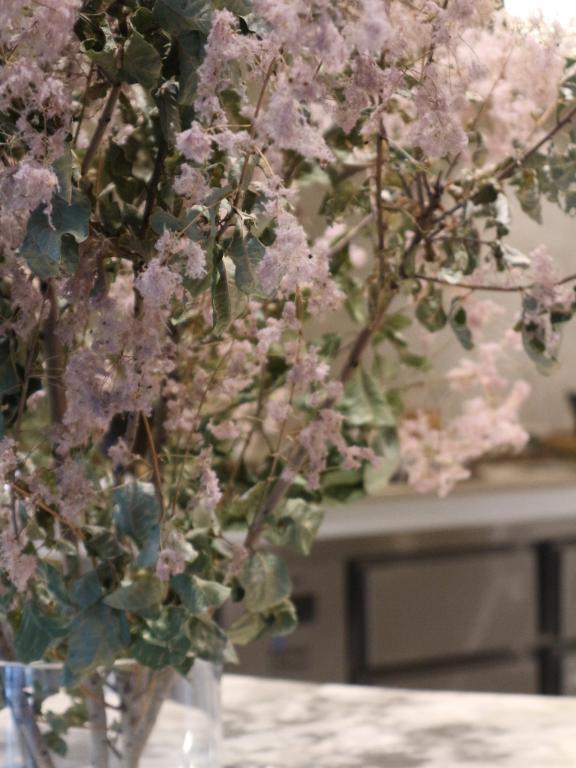 2025年、最後のご挨拶