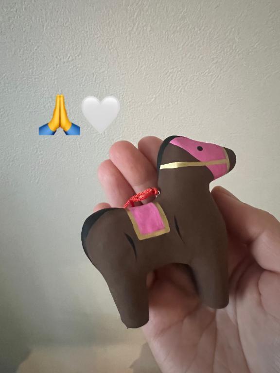 見てくれたお兄さま🐴｜写メ日記｜浅神ふじの｜品川・五反田 一般デリヘル 五反田発　痴漢電車or全裸入室