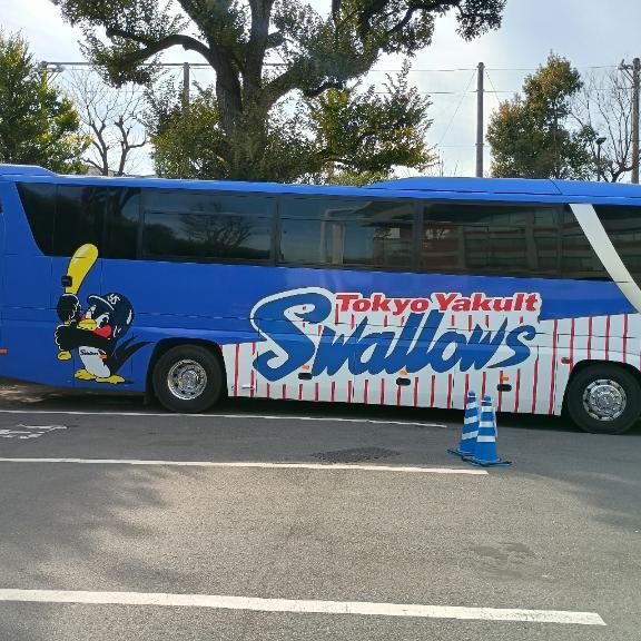 出勤予定です💙｜写メ日記｜姫路もえ｜品川・五反田 一般デリヘル 五反田発　痴漢電車or全裸入室