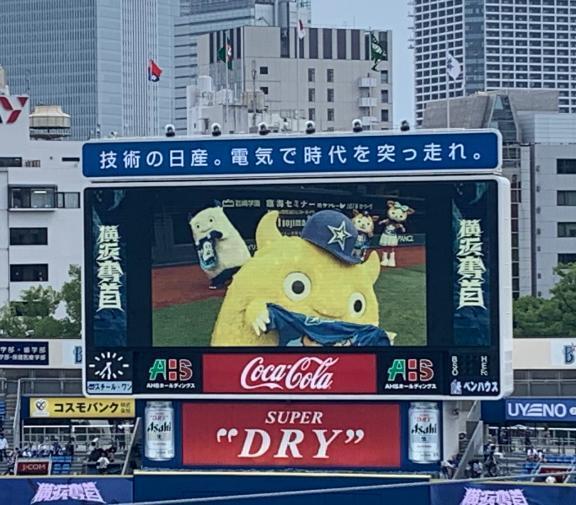 蚊アレルギーって難儀よな…｜写メ日記｜桜咲ゆきの｜品川・五反田 一般デリヘル 五反田発　痴漢電車or全裸入室