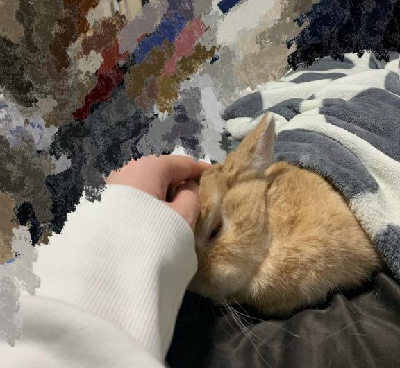 モフモフと出勤予定的な何か｜写メ日記｜桜咲ゆきの｜品川・五反田 一般デリヘル 五反田発　痴漢電車or全裸入室