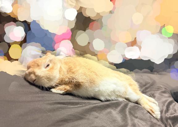 出勤でした🤗と先週、今週と｜写メ日記｜桜咲ゆきの｜品川・五反田 一般デリヘル 五反田発　痴漢電車or全裸入室