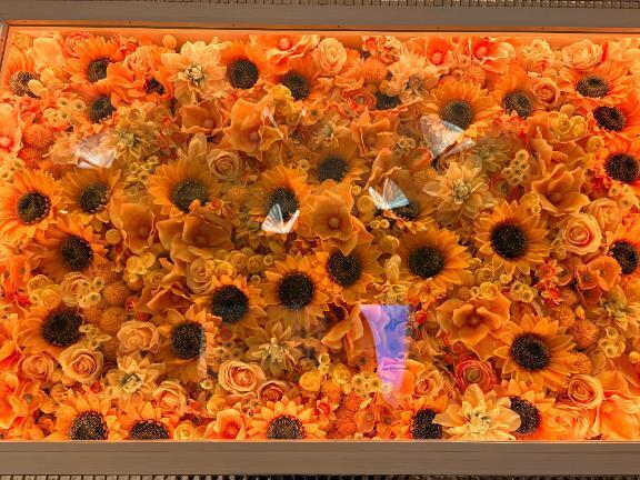 出勤でした✨と🦋｜写メ日記｜桜咲ゆきの｜品川・五反田 一般デリヘル 五反田発　痴漢電車or全裸入室