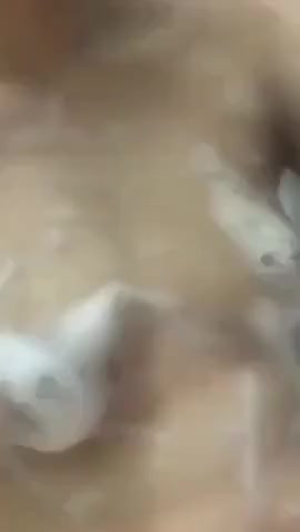 きょう出ます✨