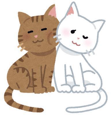 ฅ( ̳• ·̫ • ̳ฅ)にゃ❤️✨️｜写メ日記｜白雪まふゆ｜品川・五反田 一般デリヘル 五反田発　痴漢電車or全裸入室