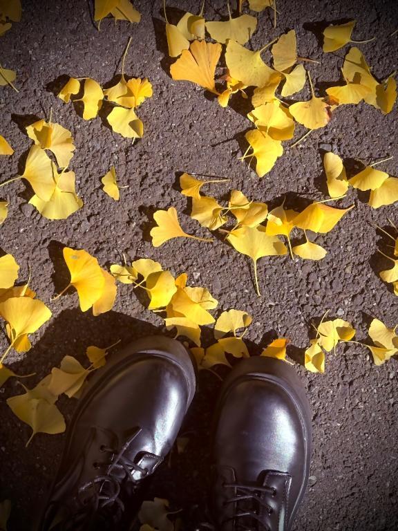 秋色の足元｜写メ日記｜望月ふゆか｜品川・五反田 一般デリヘル 五反田発　痴漢電車or全裸入室