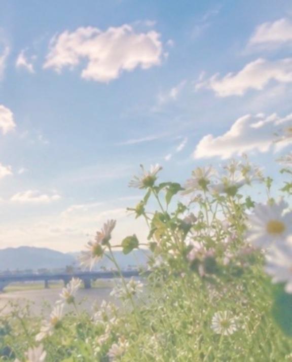 お礼💌　ヒルズ　本指名K様｜写メ日記｜山ノ井あんず｜品川・五反田 一般デリヘル 五反田発　痴漢電車or全裸入室
