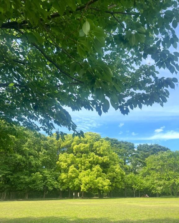 身体が軽かった👀｜写メ日記｜浅神ふじの｜品川・五反田 一般デリヘル 五反田発　痴漢電車or全裸入室