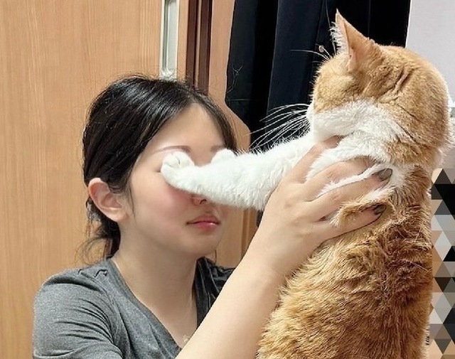 再掲🧡✌️｜写メ日記｜石田｜大塚・巣鴨 人妻デリヘル 東京美人妻