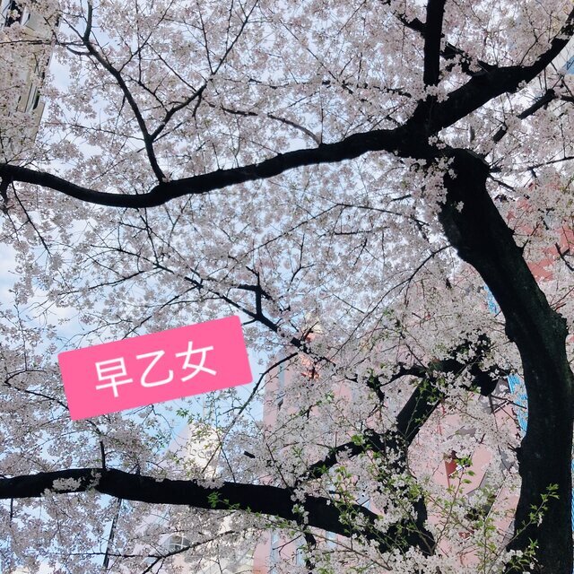 【 大切なお知らせです 】