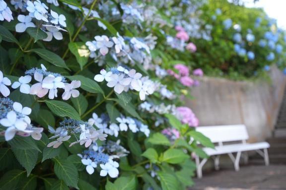 急ですが今日出勤します💦💦｜写メ日記｜竹内｜大塚・巣鴨 人妻デリヘル 東京美人妻