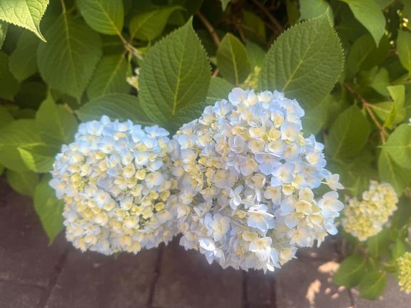 5/19の💖