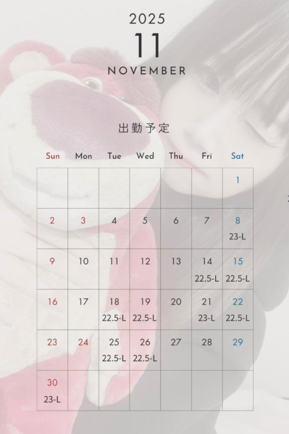 11月の予定︎