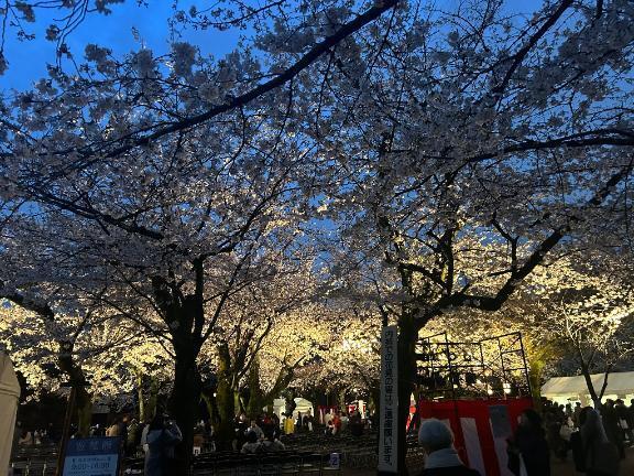 いよいよ4月｜写メ日記｜瀬戸まなみ｜新宿 出張エステ 断りきれない美人マッサージ嬢たち
