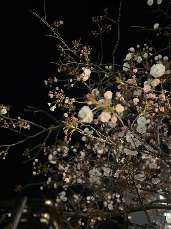 今日も^⁃ ⩊ ⁃₊⁺｜写メ日記｜長瀬ひめな｜新宿 出張エステ 断りきれない美人マッサージ嬢たち