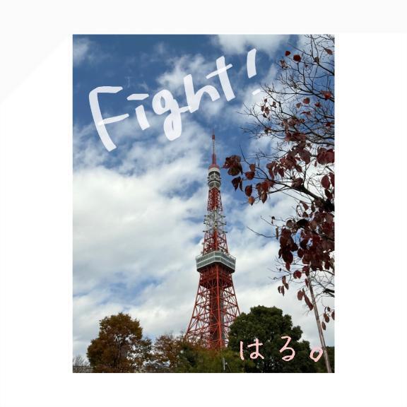 はるだね。｜写メ日記｜はる｜立川・八王子・三多摩 一般デリヘル Ｌove Fantasy