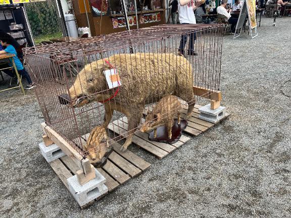 たまにはね｜写メ日記｜かや｜立川・八王子・三多摩 一般デリヘル Ｌove Fantasy