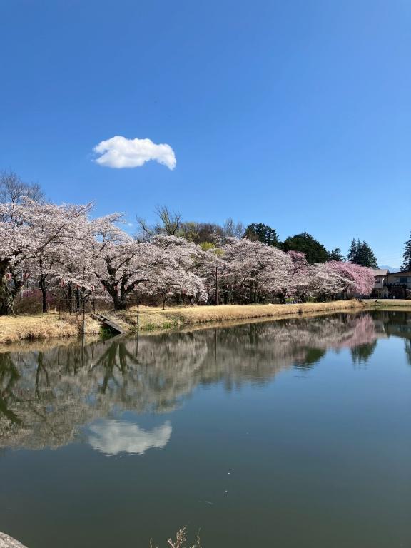 お久しぶりです｜写メ日記｜らいむ｜立川・八王子・三多摩 一般デリヘル Ｌove Fantasy