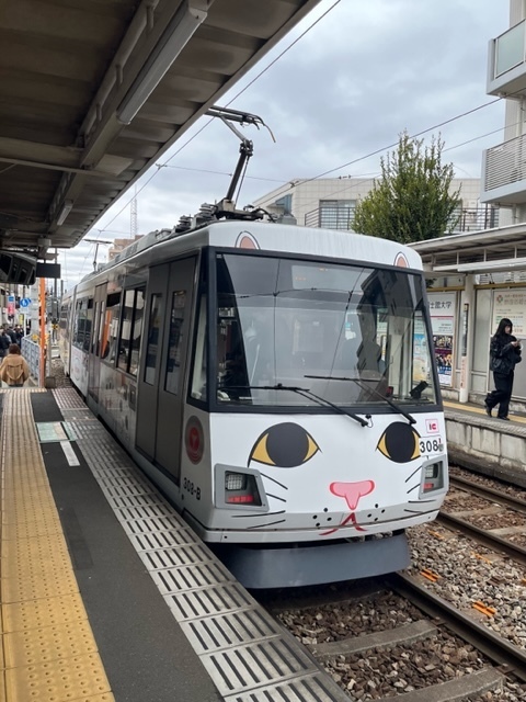 世田谷線｜写メ日記｜上野｜鶯谷 人妻デリヘル カーネーション