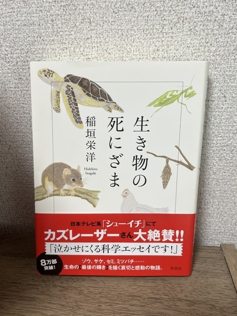 読書の秋|写メ日記|上野|鶯谷 人妻デリヘル カーネーション