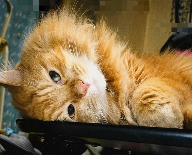 お休み頂き過ぎて｜写メ日記｜黒木｜鶯谷 人妻デリヘル カーネーション