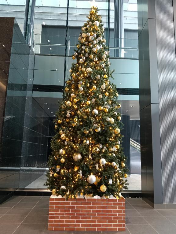 出勤日です｜写メ日記｜るりこ｜六本木・麻布・赤坂 一般デリヘル セレブコレクション赤坂