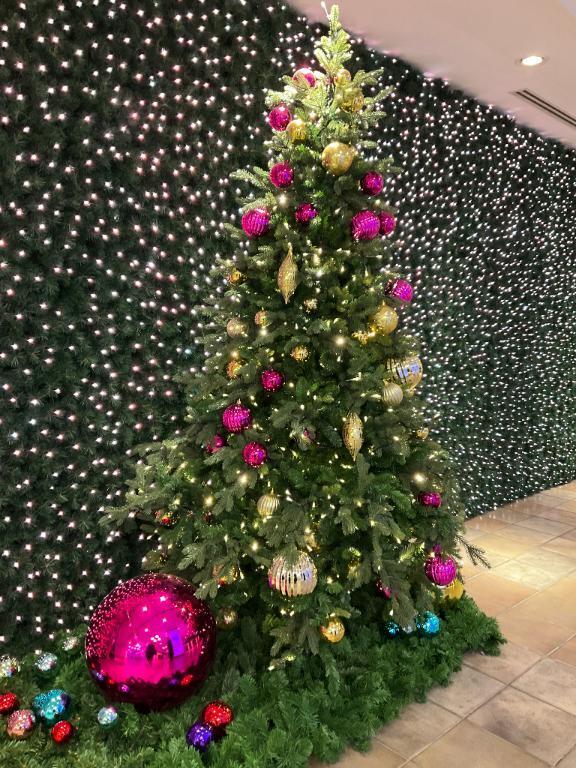 どこにいるのかな？