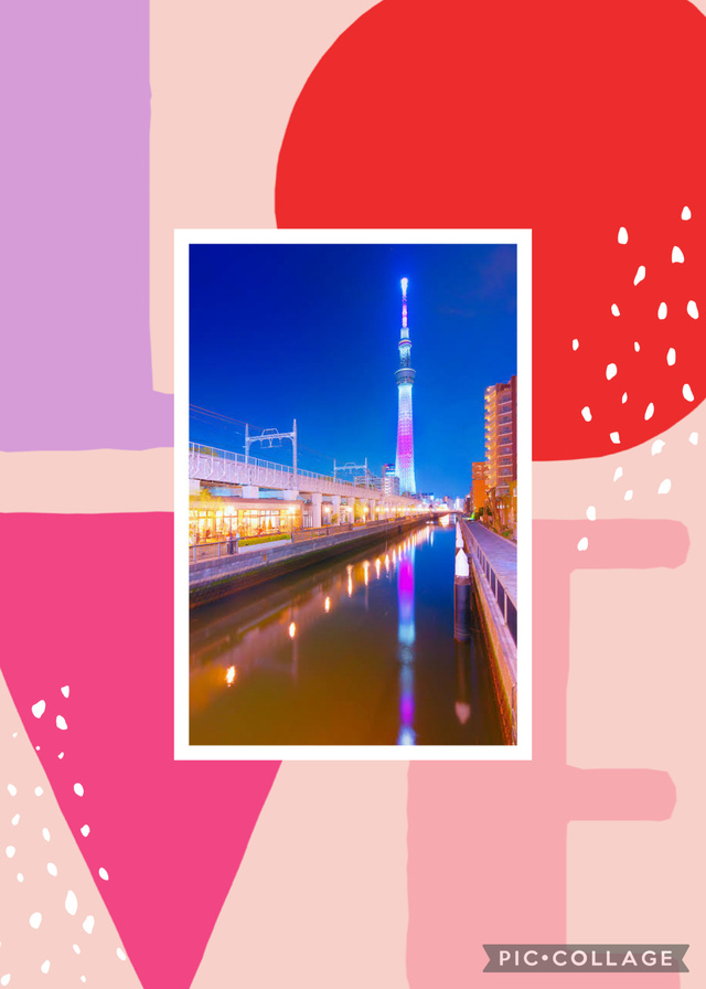 有難う御座いました｜写メ日記｜せいら｜六本木・麻布・赤坂 一般デリヘル セレブコレクション赤坂