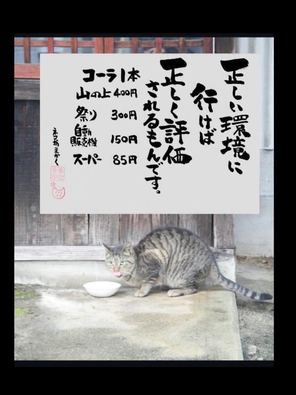 ゲリラ｜写メ日記｜海（うみ）｜新宿 出張エステ 新宿泡洗体ハイブリッドエステ