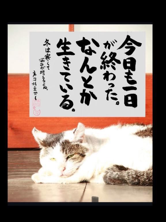 。｜写メ日記｜海（うみ）｜新宿 出張エステ 新宿泡洗体ハイブリッドエステ