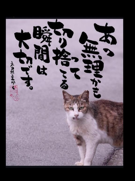 ね｜写メ日記｜海（うみ）｜新宿 出張エステ 新宿泡洗体ハイブリッドエステ