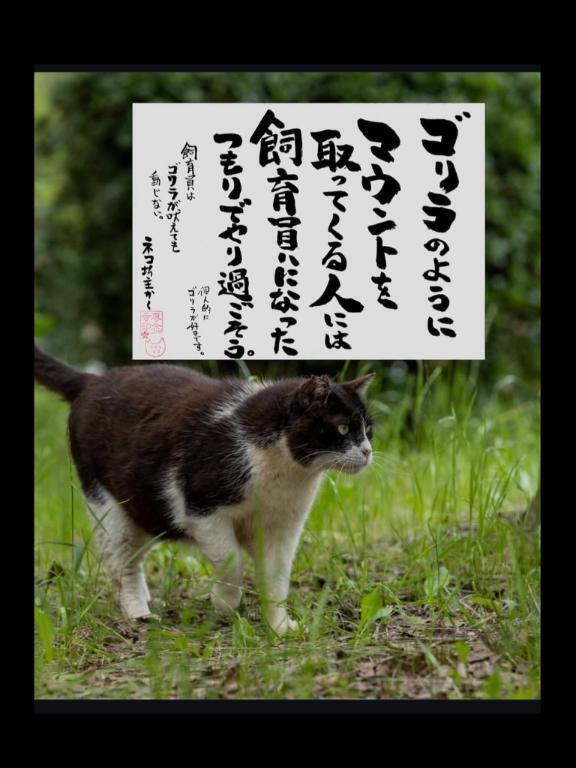 。｜写メ日記｜海（うみ）｜新宿 出張エステ 新宿泡洗体ハイブリッドエステ