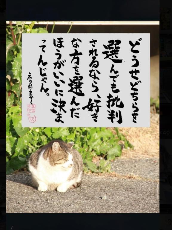 おちまい｜写メ日記｜海（うみ）｜新宿 出張エステ 新宿泡洗体ハイブリッドエステ