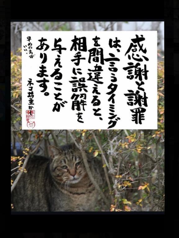 .｜写メ日記｜海（うみ）｜新宿 出張エステ 新宿泡洗体ハイブリッドエステ