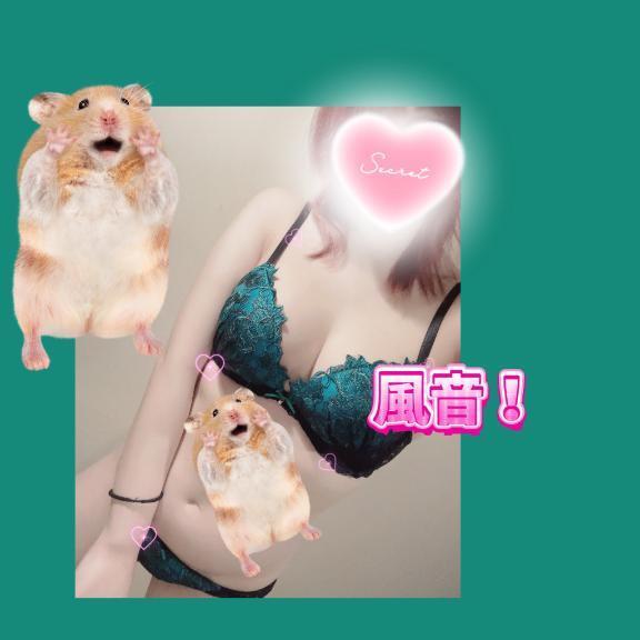 愛にきて