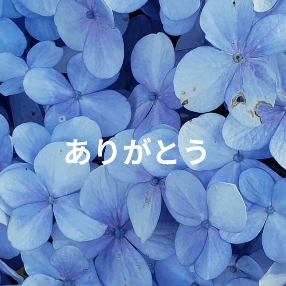 ありがとうございました♥️｜写メ日記｜くみ｜品川・五反田 一般デリヘル 熟女の風俗最終章 品川店