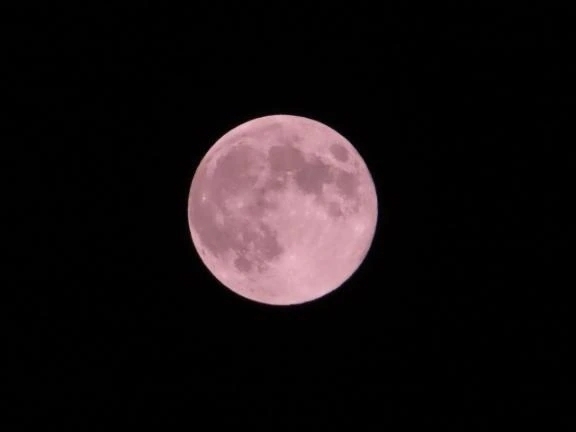 ありがとうございました♥️｜写メ日記｜くみ｜品川・五反田 一般デリヘル 熟女の風俗最終章 品川店